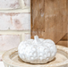 WHITE DIMPLE PUMPKIN - Michigan Southern Charm