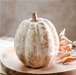 8.75"H BEIGE HEIRLOOM PUMPKIN - Michigan Southern Charm