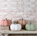 6.5" FALL CERAMIC PUMPKINS - Michigan Southern Charm