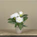 12" CREAM POTTED PEONY - Michigan Southern Charm