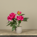 12" DARK PINK POTTED PEONY - Michigan Southern Charm