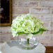 GREEN HYDRANGEA IN GLASS VASE - Michigan Southern Charm