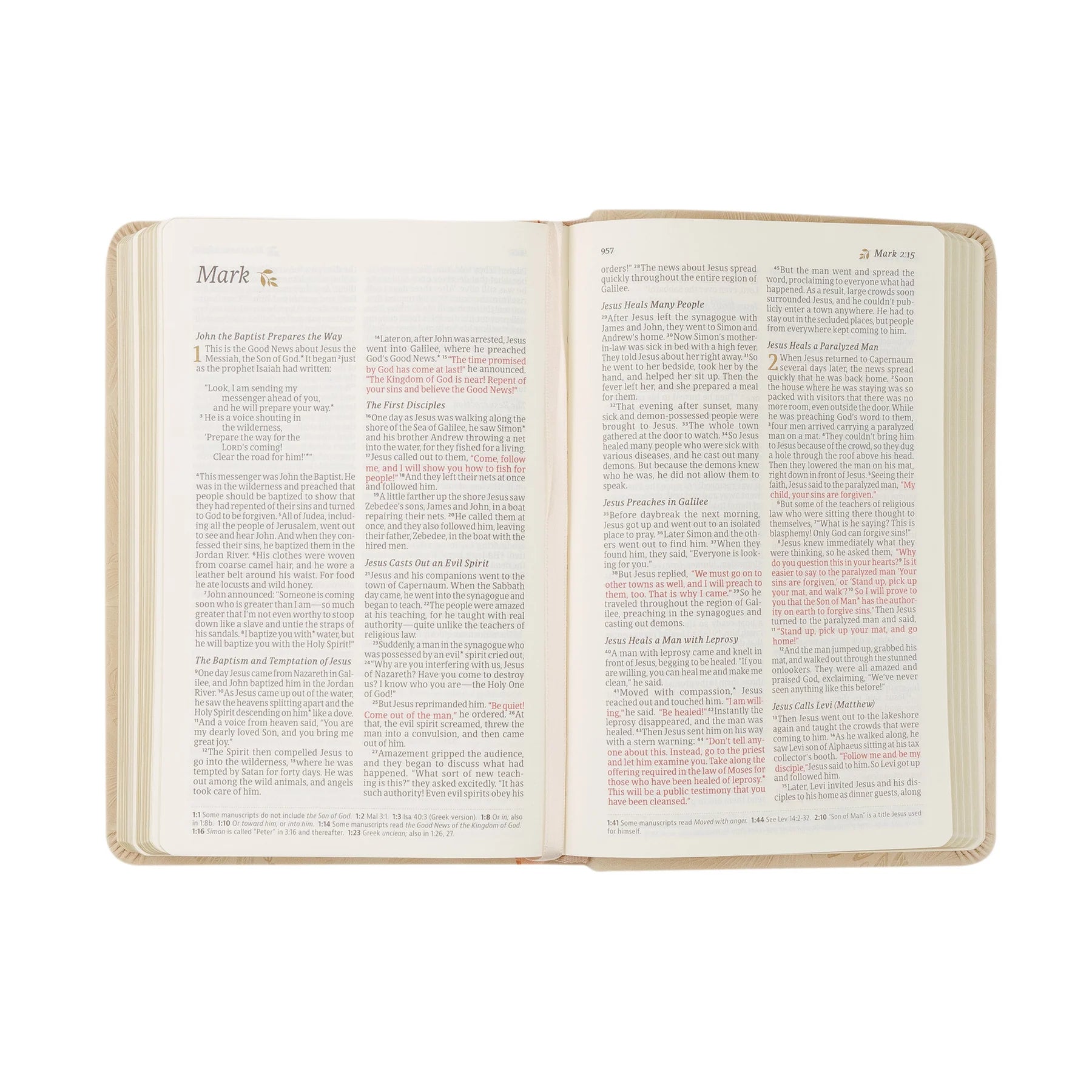 NLT Compact Bible: Sonora Theme