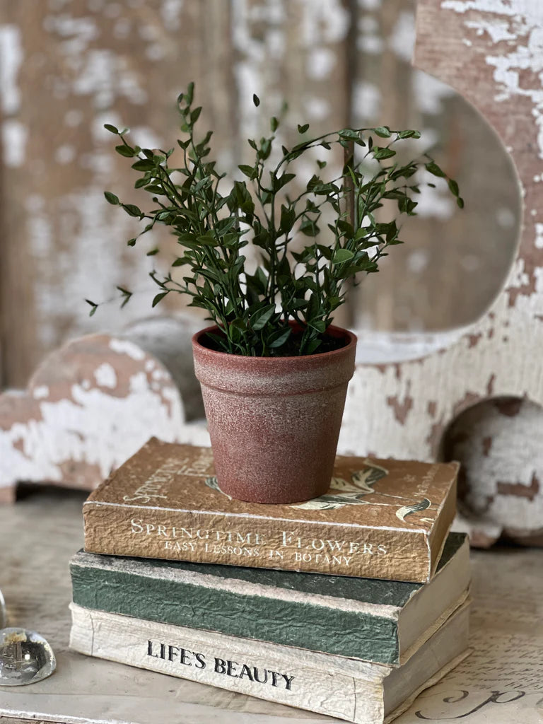 Hebron Pot 10" Spear Leaf