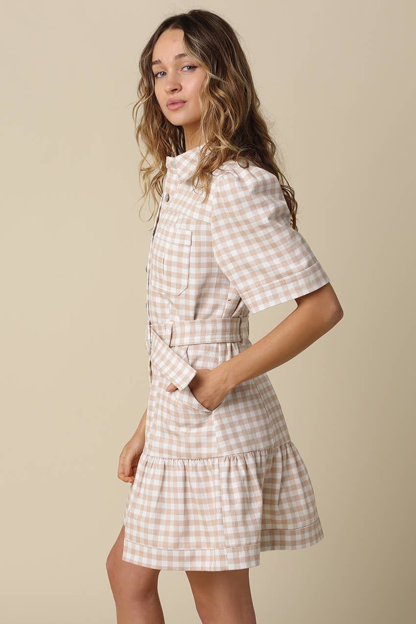 Eliza Gingham Belted Shirt Dress