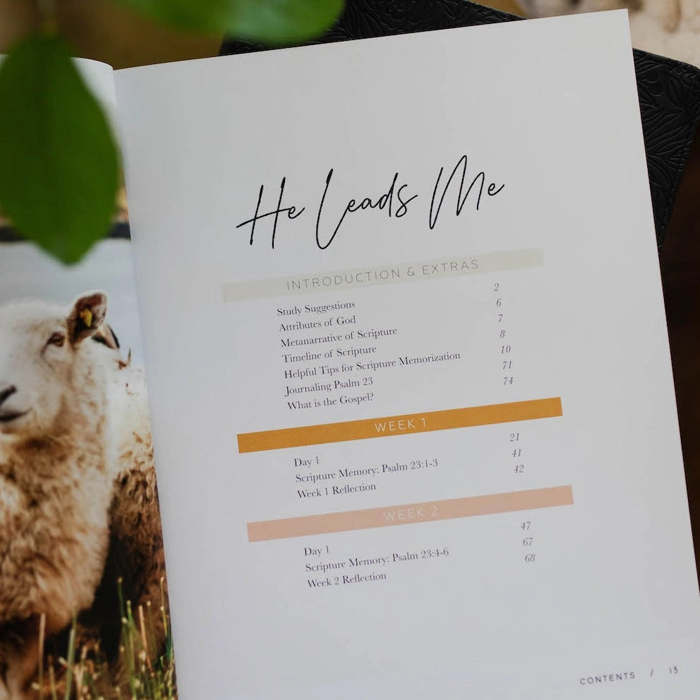 He Leads Me Bible Study - Michigan Southern Charm