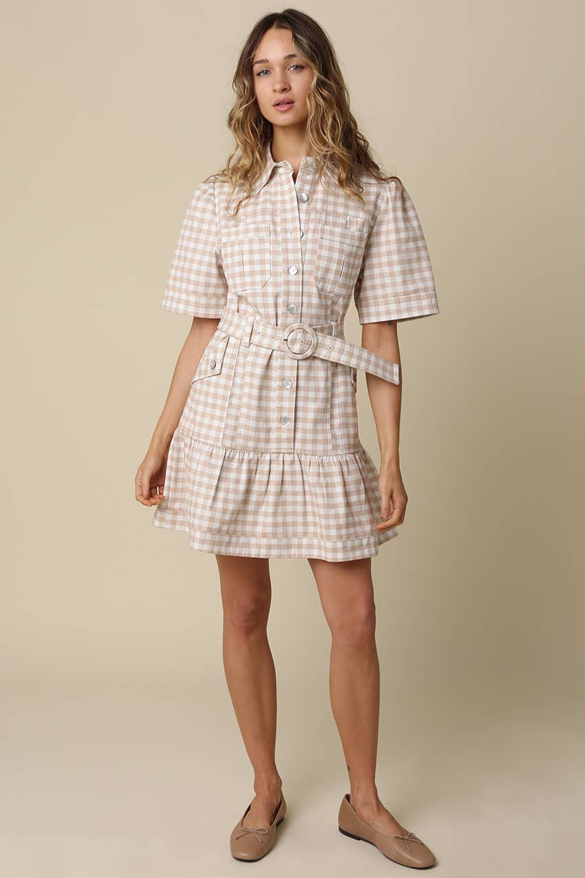 Eliza Gingham Belted Shirt Dress