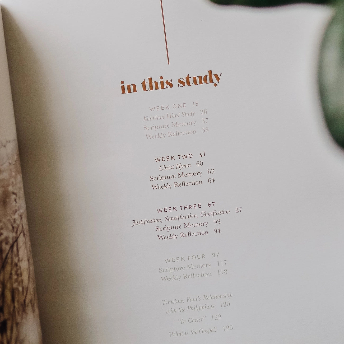 Fighting with Faith Philippians Study