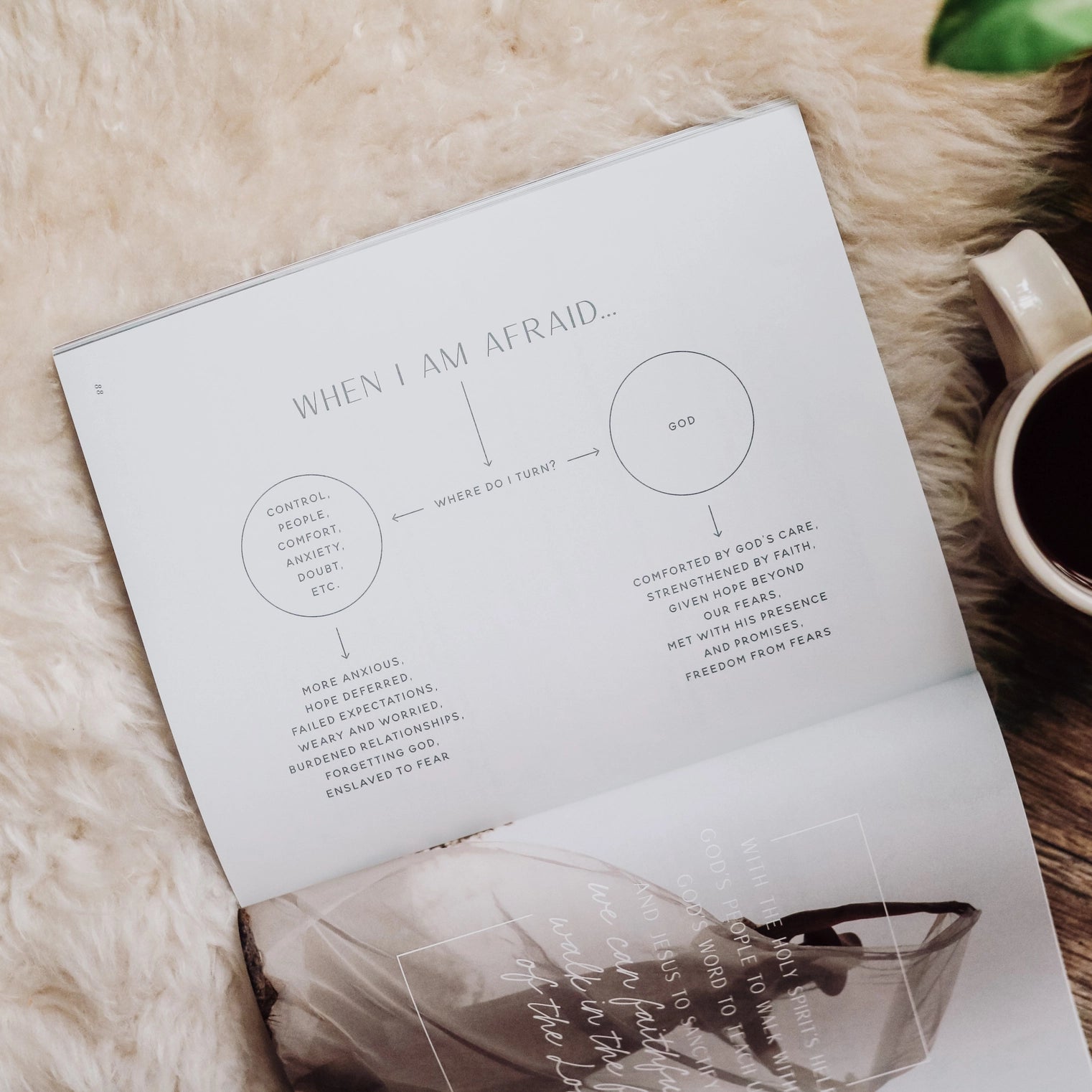 When Fear Meets Faith Bible Study