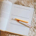 Praise Bible Study | Psalms 91-120 - Michigan Southern Charm