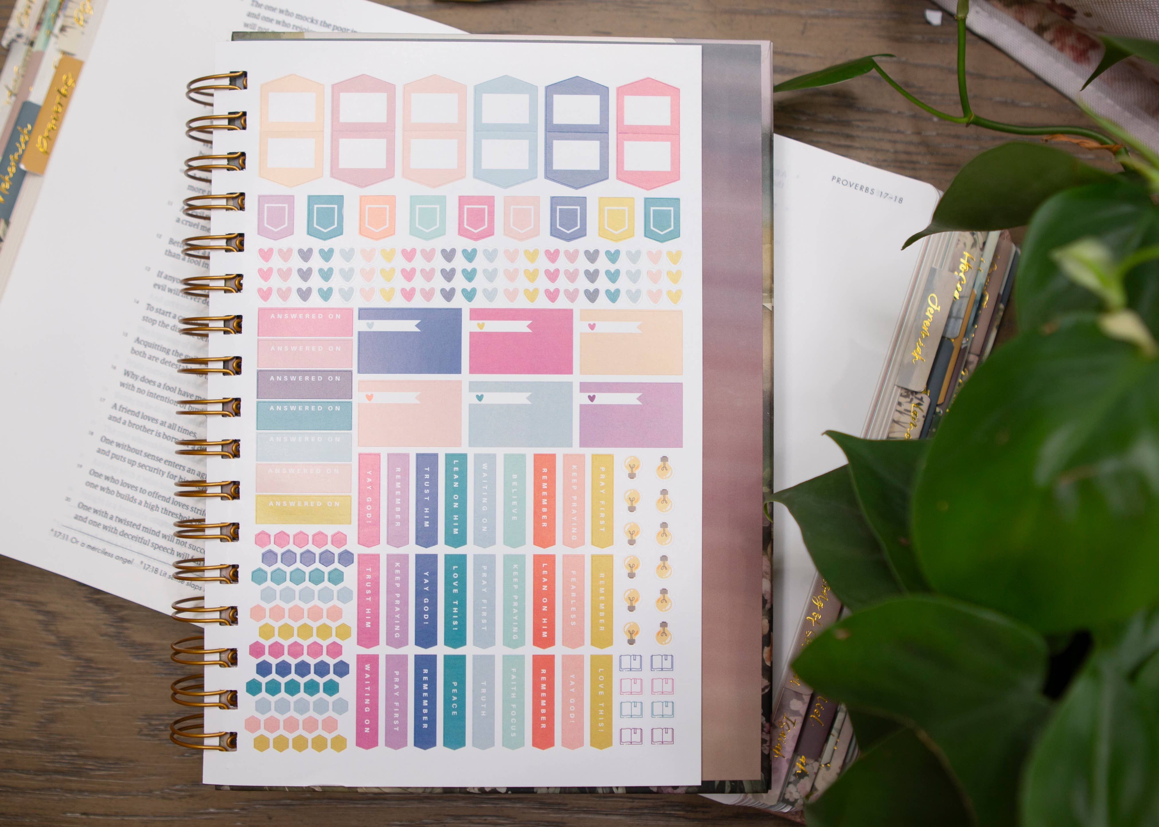 New Mercies Prayer Journal for Women