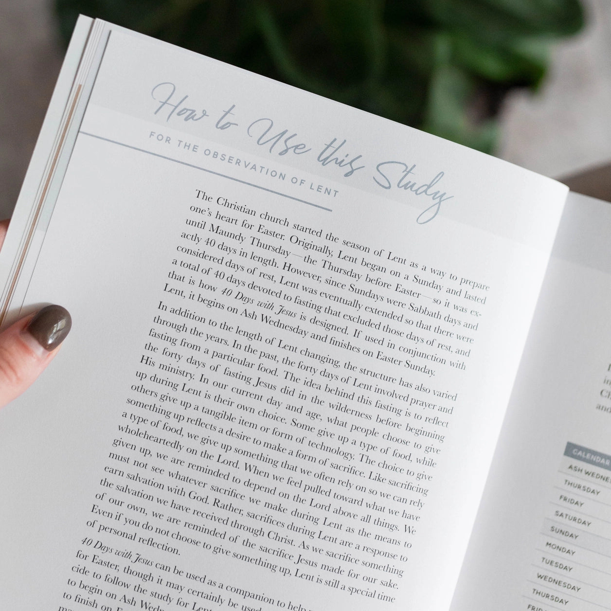 40 Days with Jesus Bible Study - Michigan Southern Charm