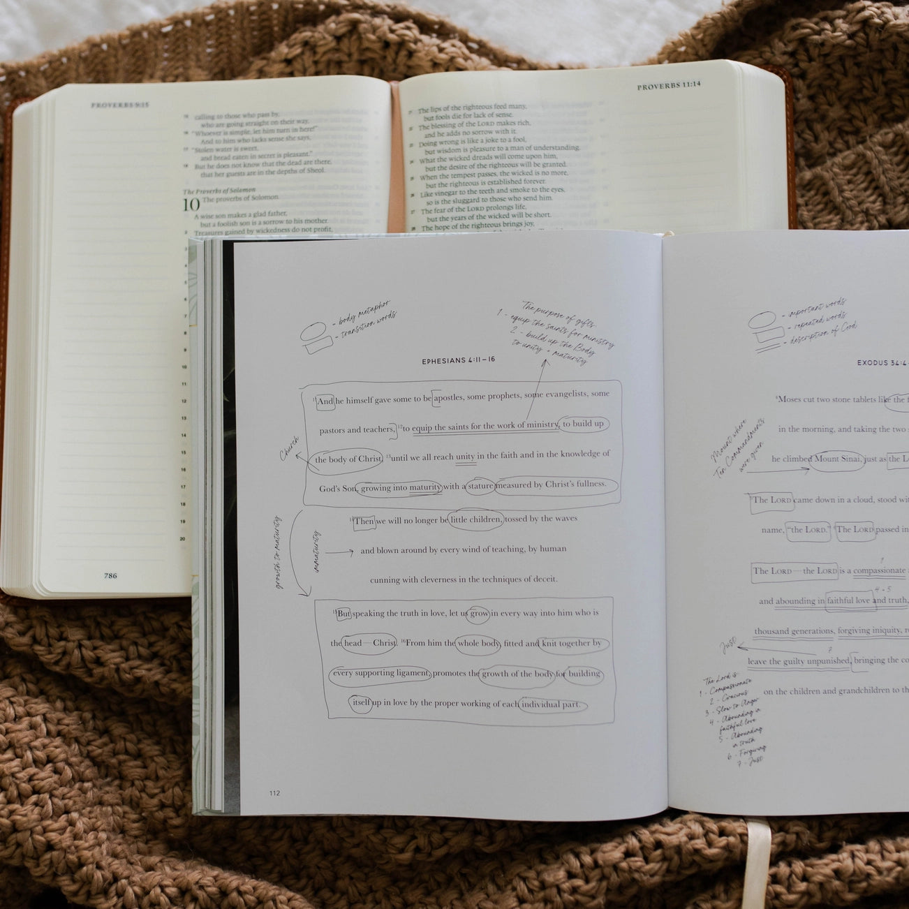 The Bible Study Handbook: A Comprehensive Guide To Reading, Understanding, and Applying the Bible