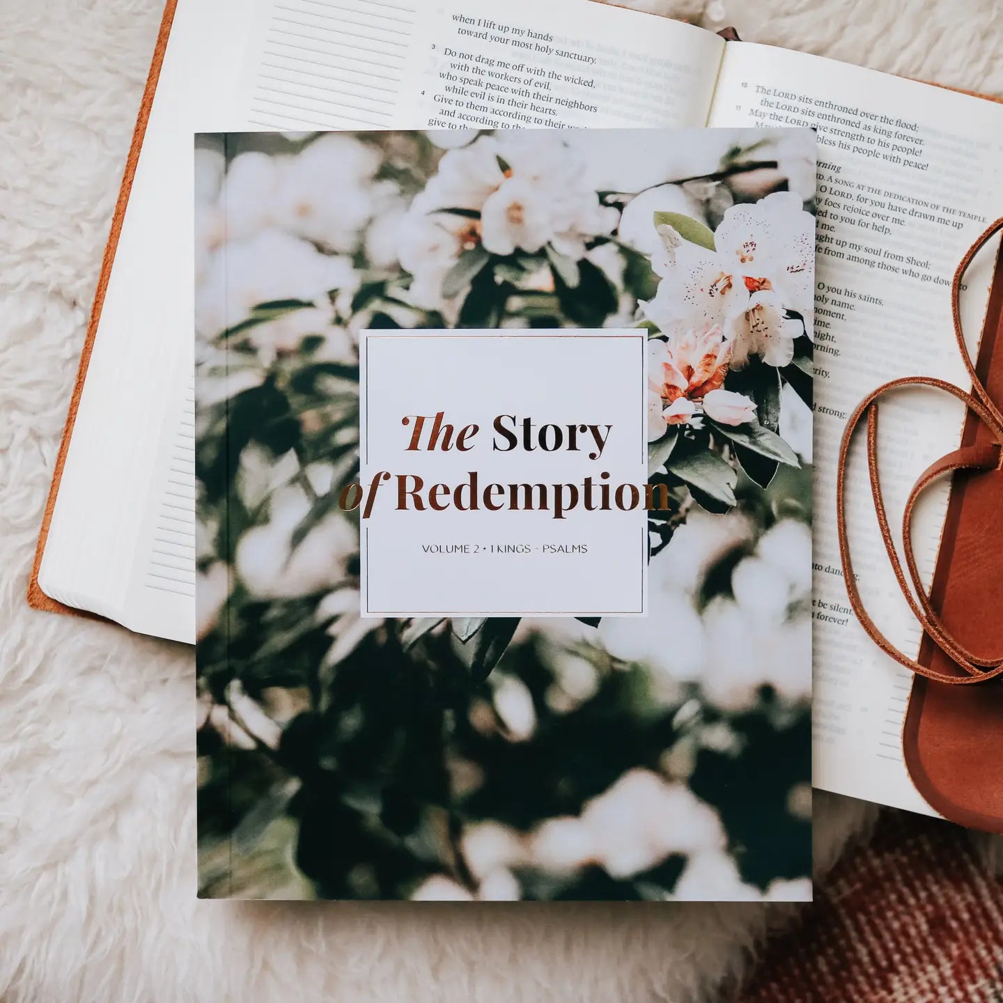 The Story of Redemption | Volume 2 Bible Study - Michigan Southern Charm