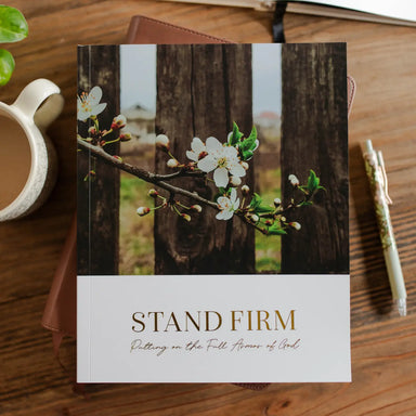 Stand Firm | Armor of God Study - Michigan Southern Charm