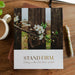 Stand Firm | Armor of God Study - Michigan Southern Charm