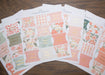 Pretty Peach Bible Book Tabs - Michigan Southern Charm