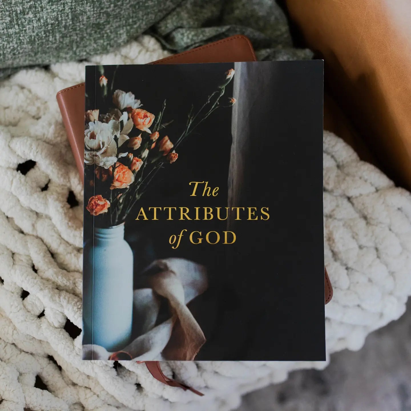 The Attributes of God Bible Study - Michigan Southern Charm