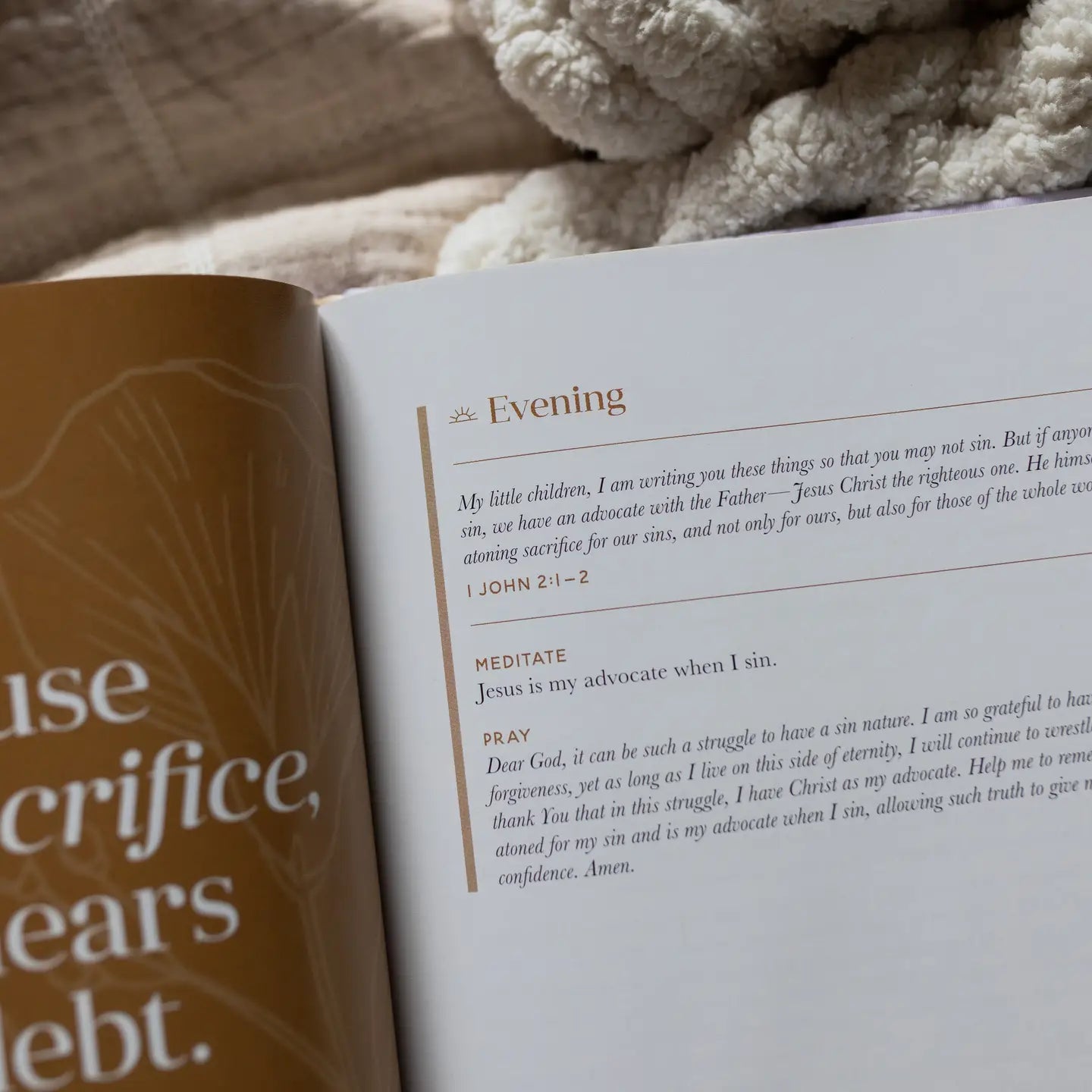 Grace from Day To Night | A 40-day Morning and Evening Devotional - Michigan Southern Charm