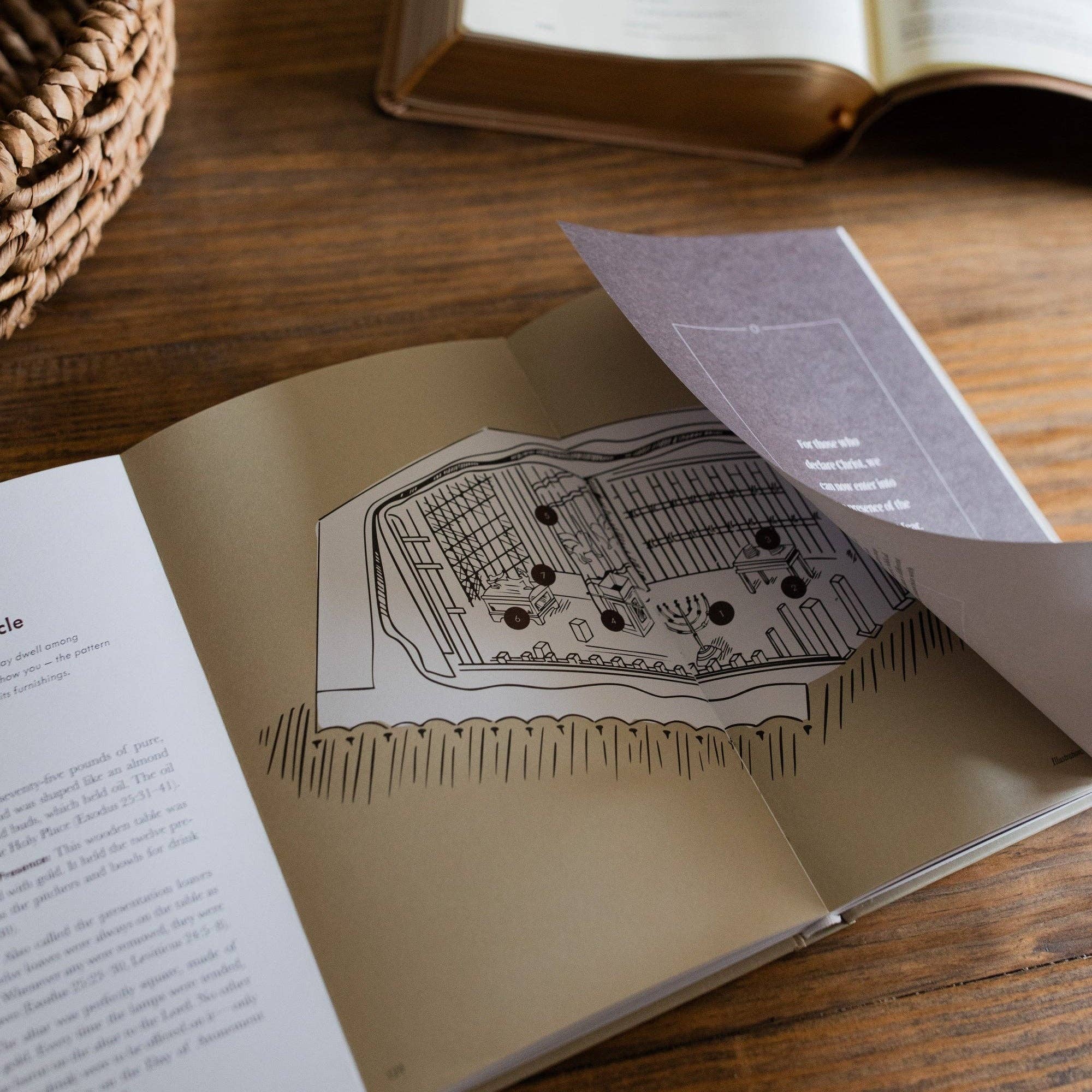 Jesus is Better Hardcover Bible Study