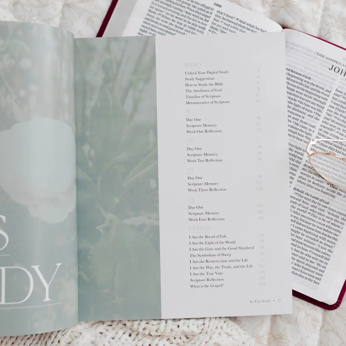I Am Bible Study - Michigan Southern Charm