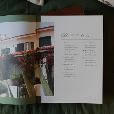 Seek | 6 Week Bible Study | A Walk Through Psalms 61-90 - Michigan Southern Charm