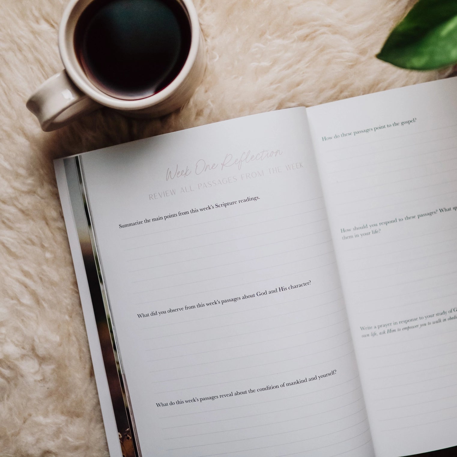 When Fear Meets Faith Bible Study