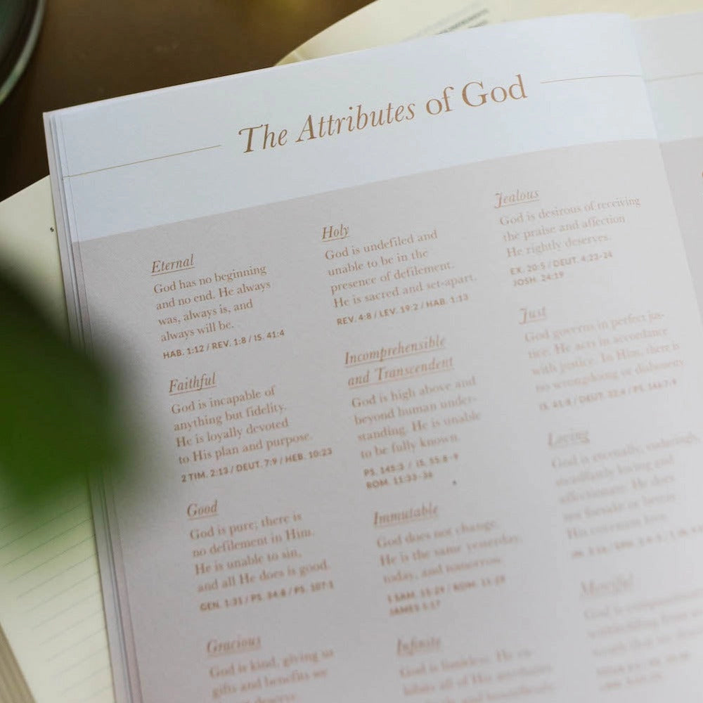 Delight Bible Study - Michigan Southern Charm