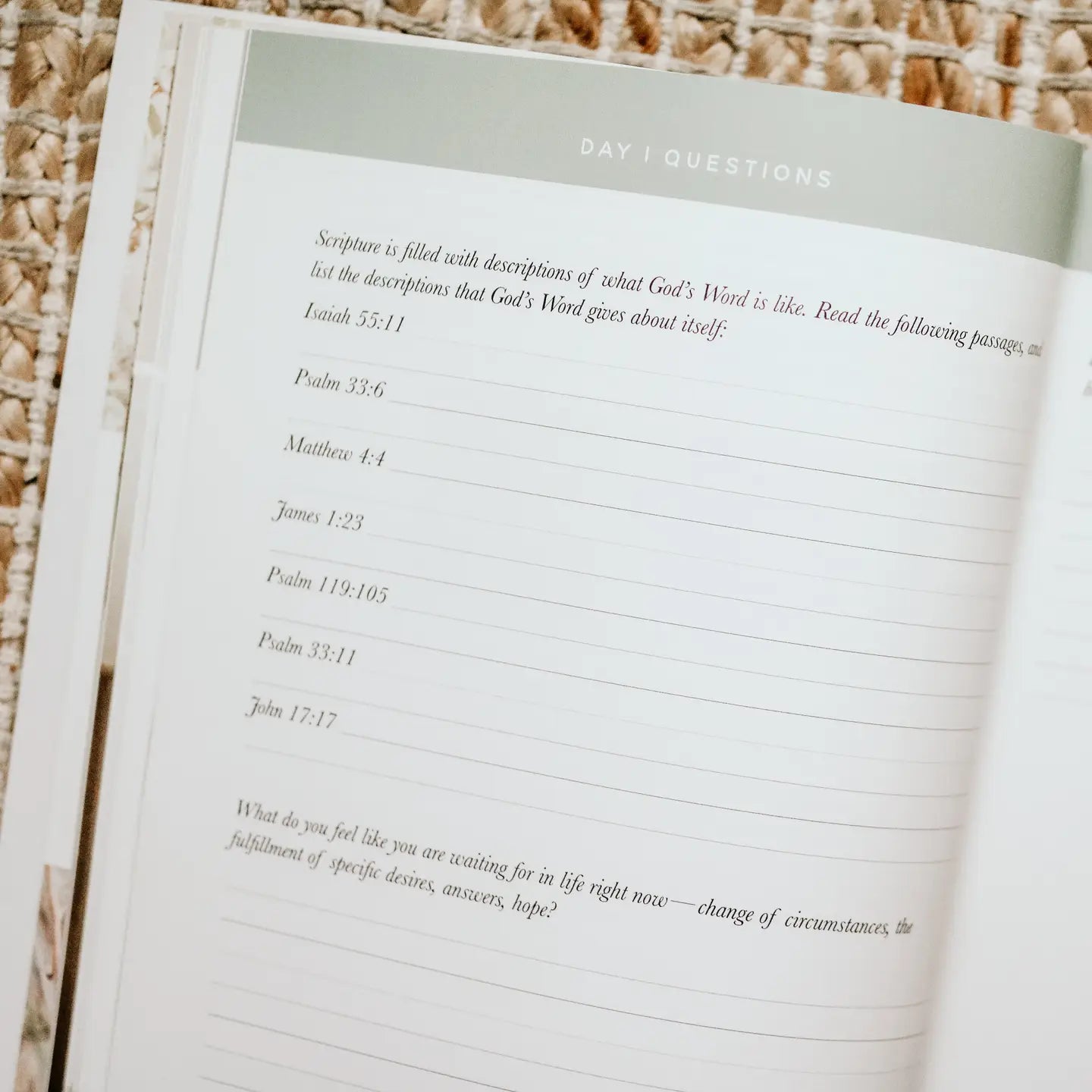 Never Alone Bible Study - Michigan Southern Charm