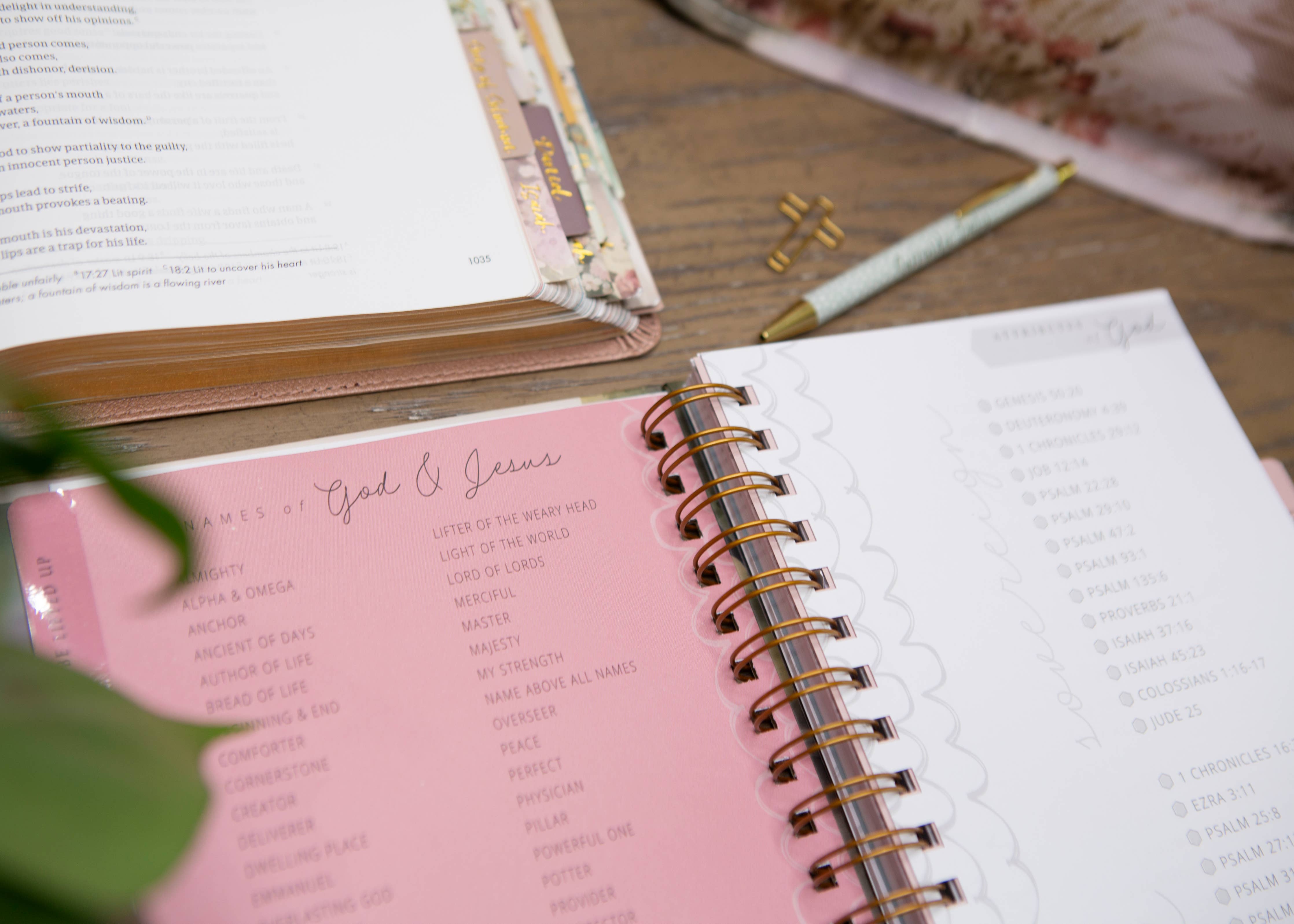 New Mercies Prayer Journal for Women