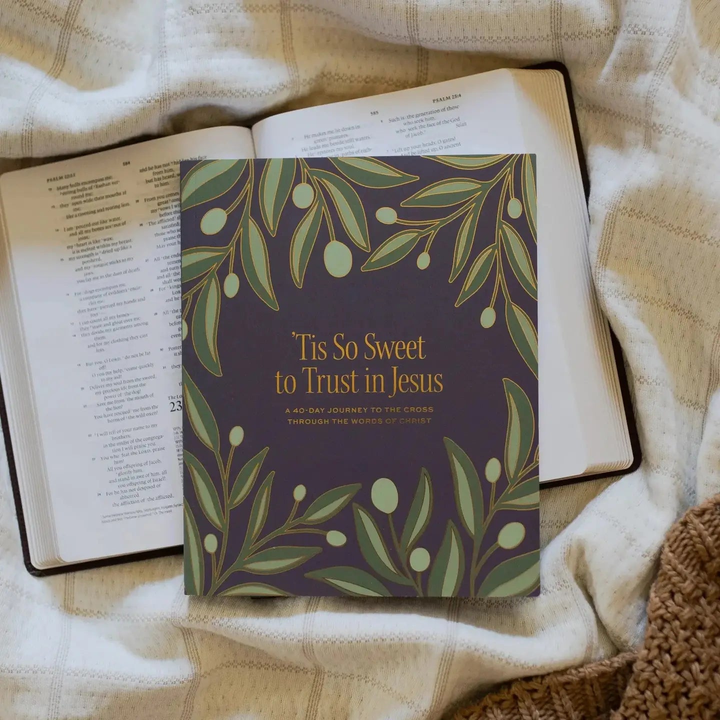 ‘Tis So Sweet To Trust in Jesus Bible Study - Michigan Southern Charm