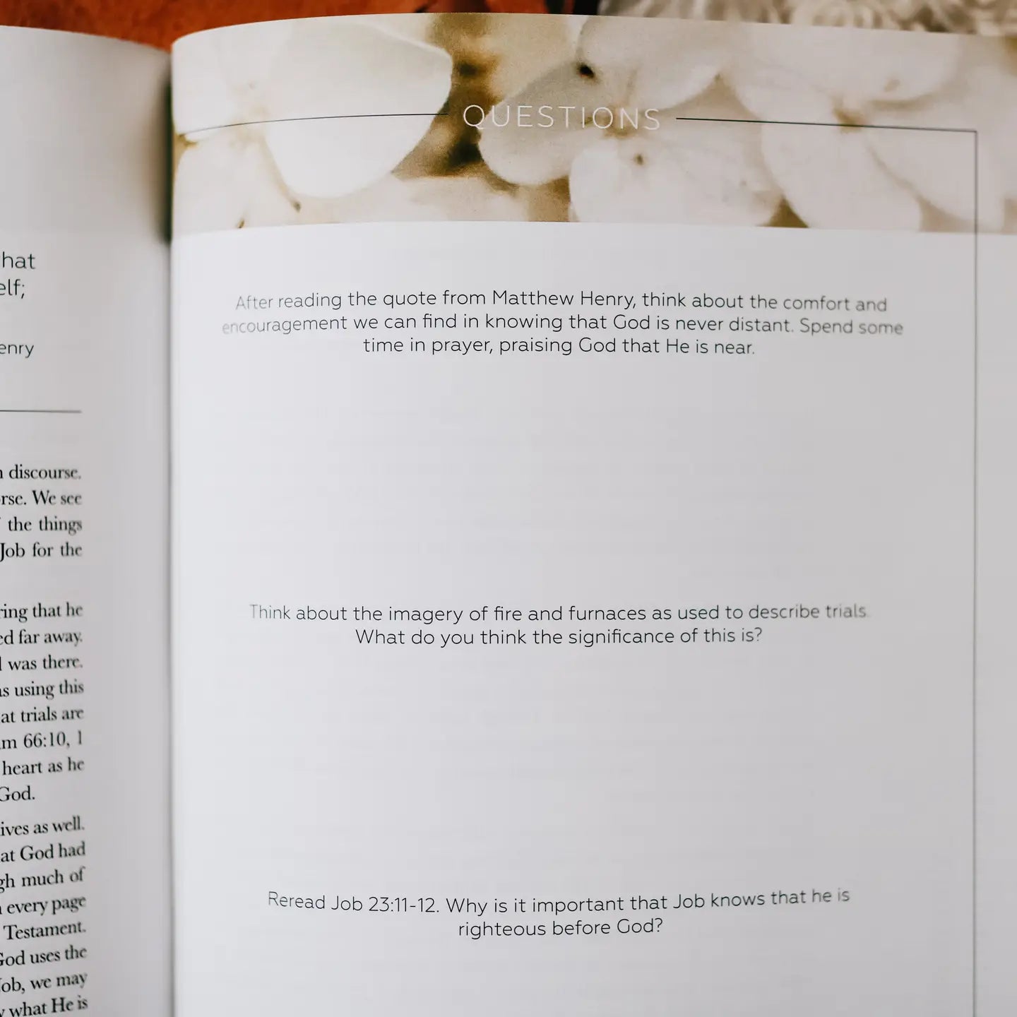 The Story of Redemption | Volume 2 Bible Study - Michigan Southern Charm