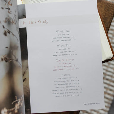 Restored | A Study On the Book of Joel - Michigan Southern Charm