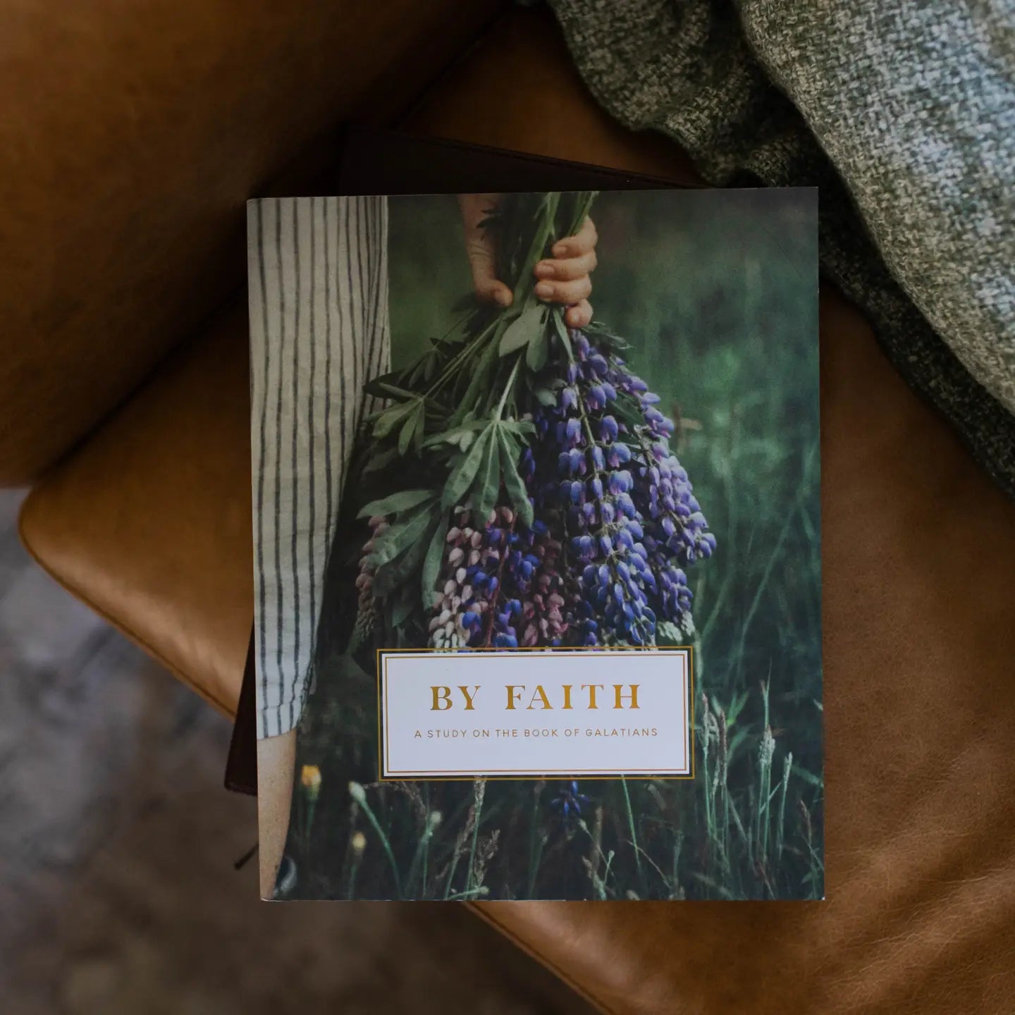 By Faith | Galatians Bible Study - Michigan Southern Charm