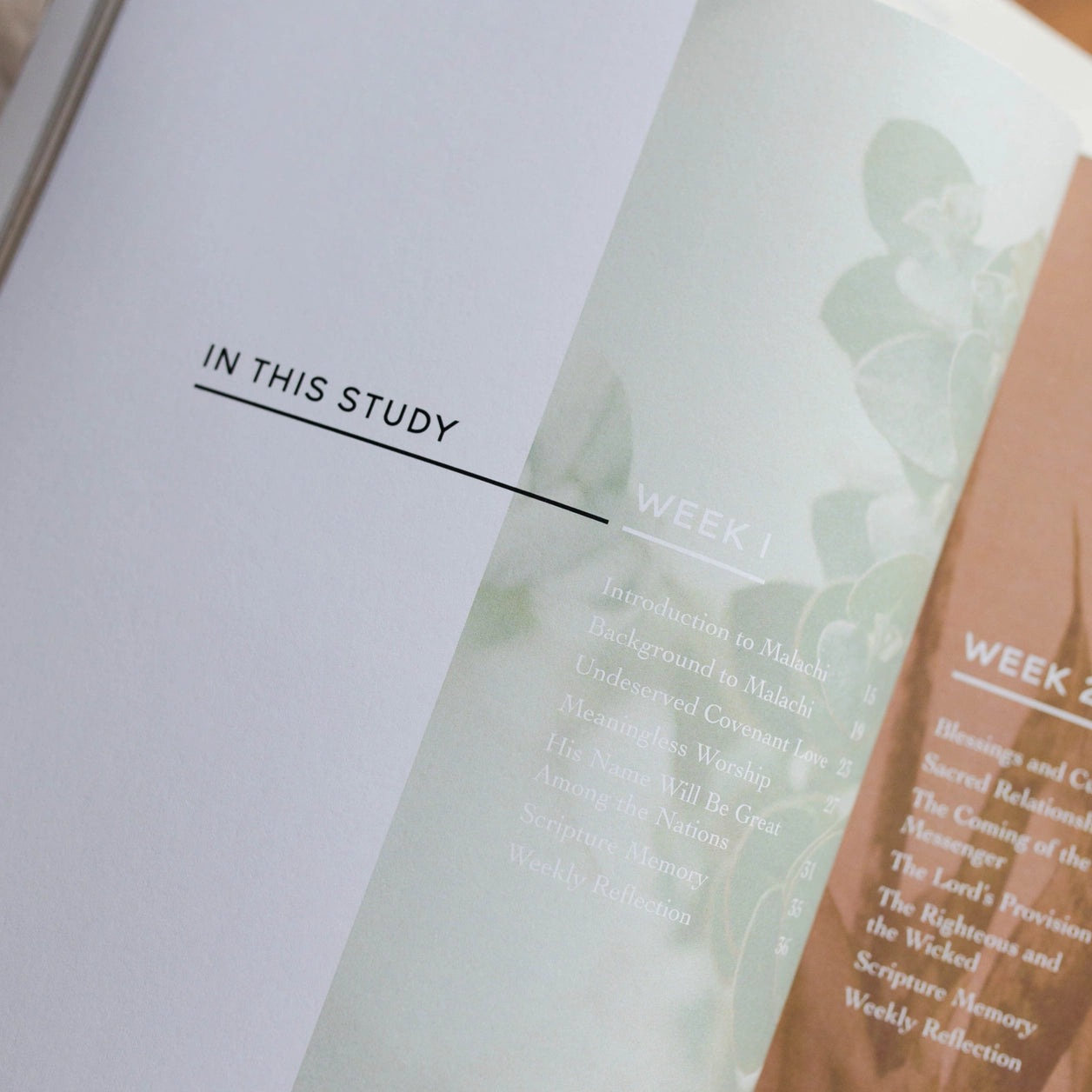 Waiting For Hope Malachi Bible Study - Michigan Southern Charm