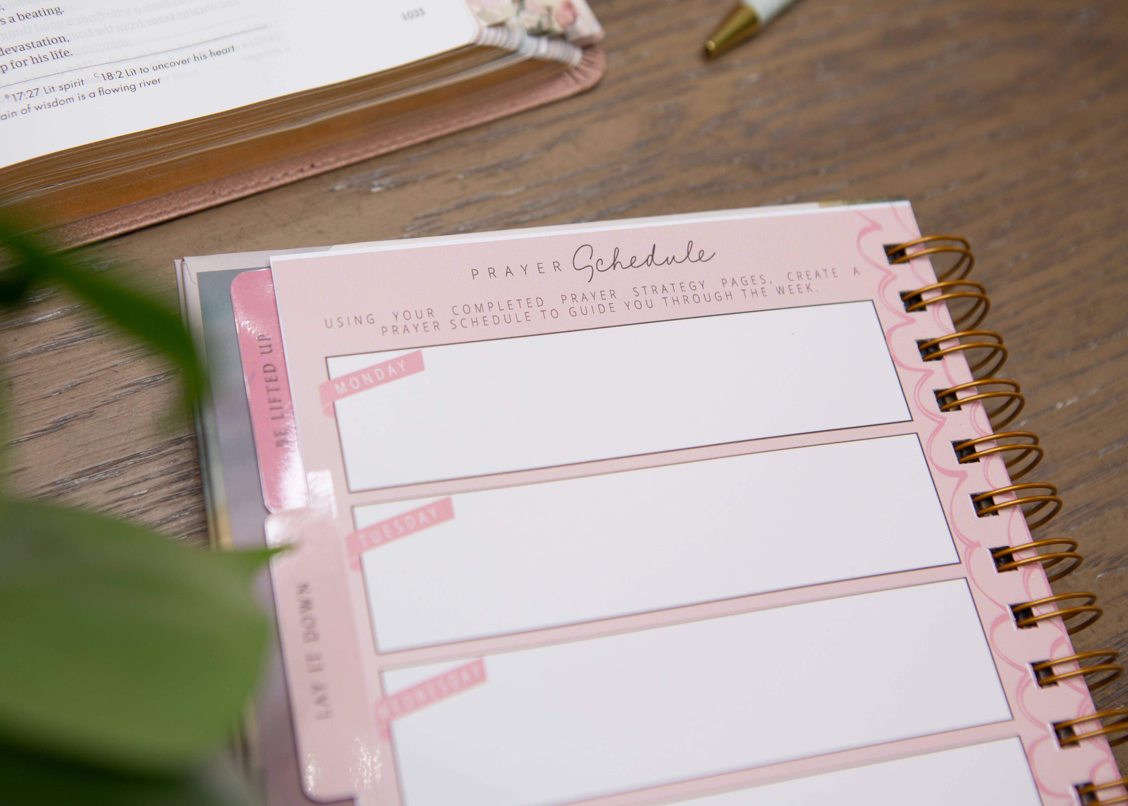 New Mercies Prayer Journal for Women