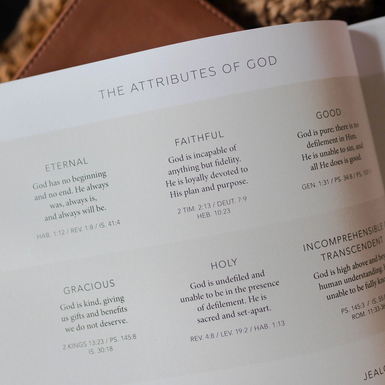 Esther Seeing God When He Is Silent