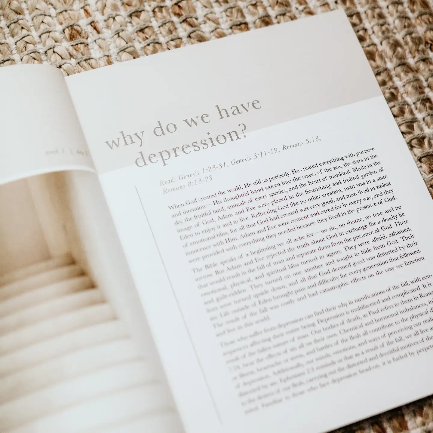Never Alone Bible Study - Michigan Southern Charm