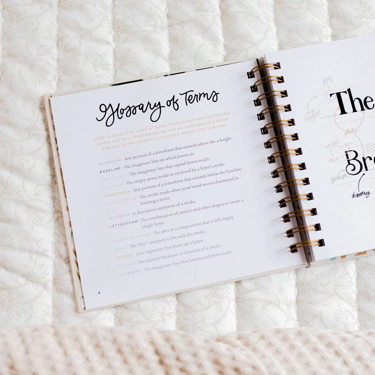 Daily Grace Scripture Lettering Workbook