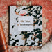The Story of Redemption | Volume 4 Bible Study - Michigan Southern Charm