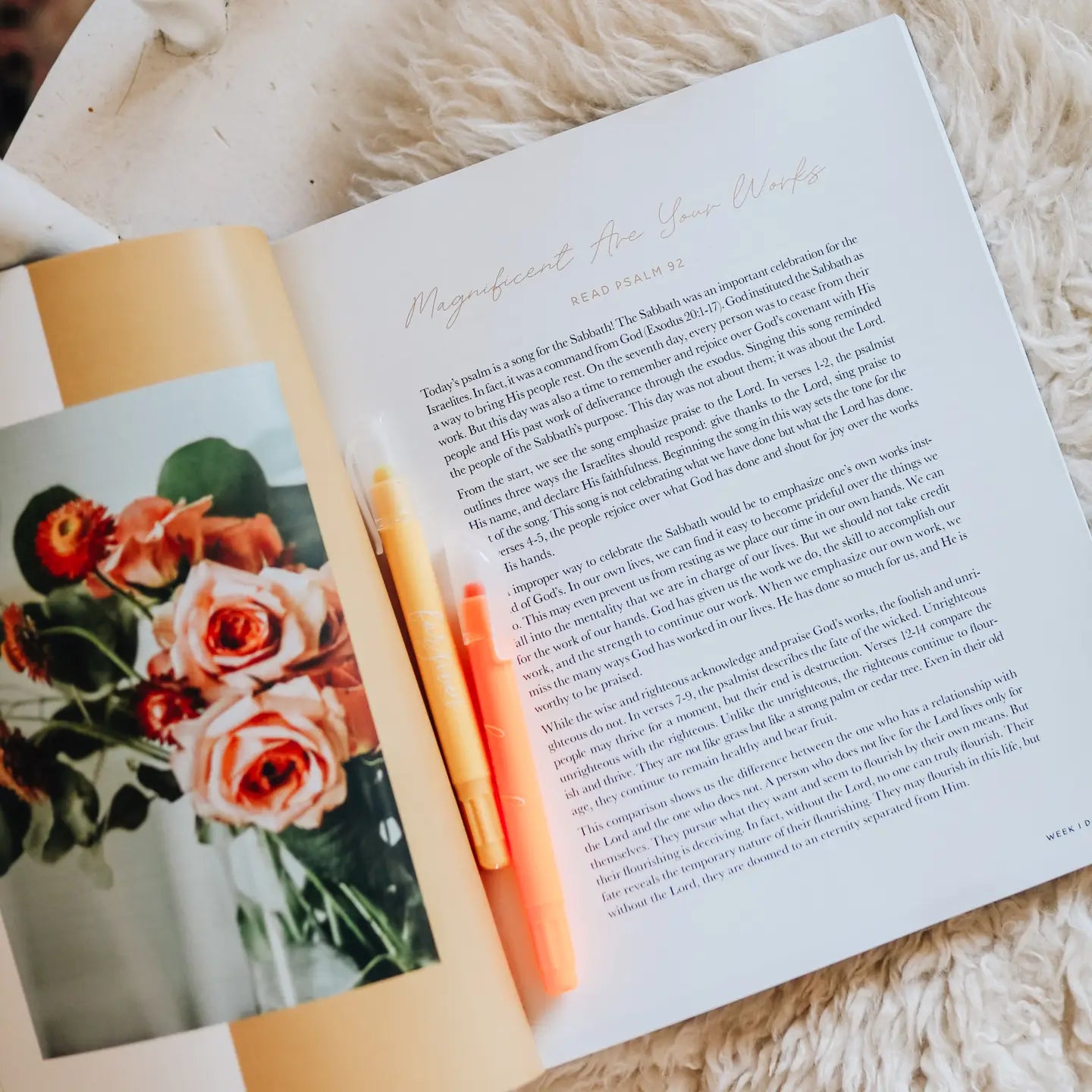Praise Bible Study | Psalms 91-120 - Michigan Southern Charm