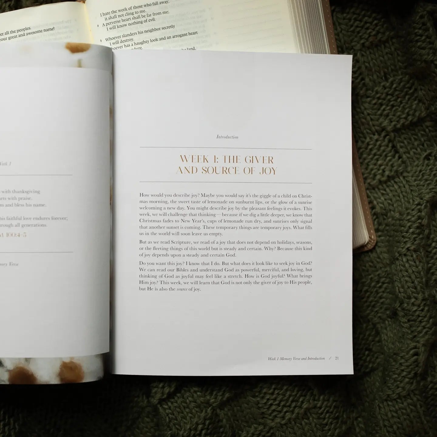 A Joy That Endures Bible Study - Michigan Southern Charm