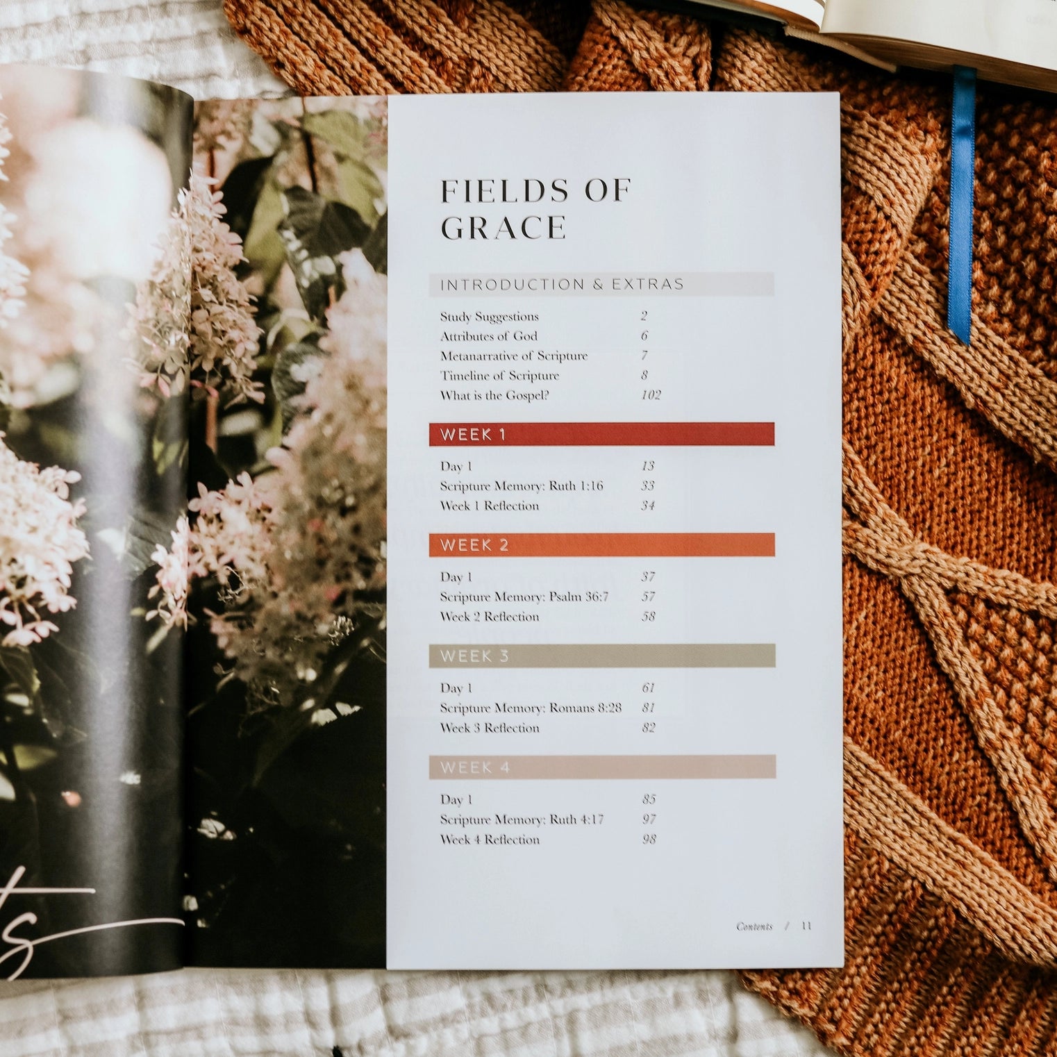 Ruth Study Fields of Grace