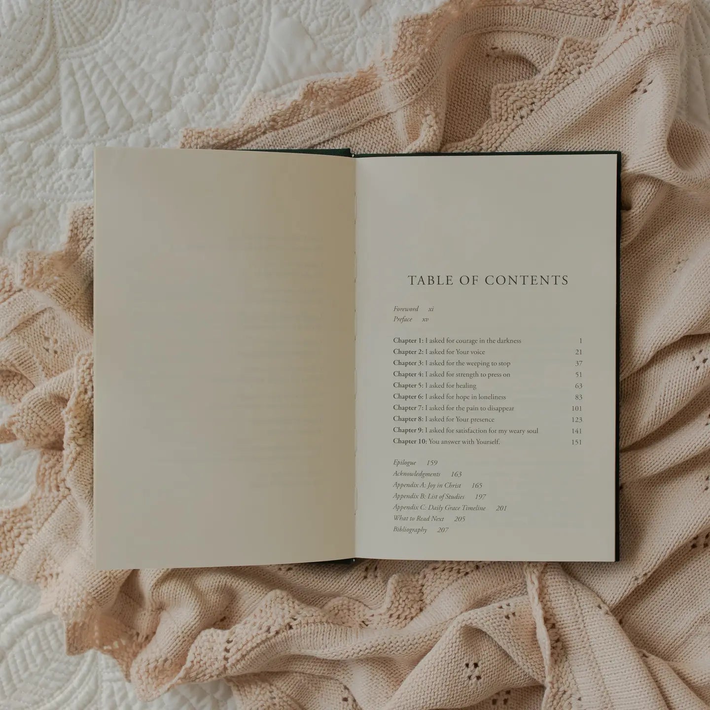 How Jesus Answers Our Heartache with Himself - Michigan Southern Charm