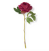 27 INCH FUCHSIA PEONY STEM - Michigan Southern Charm