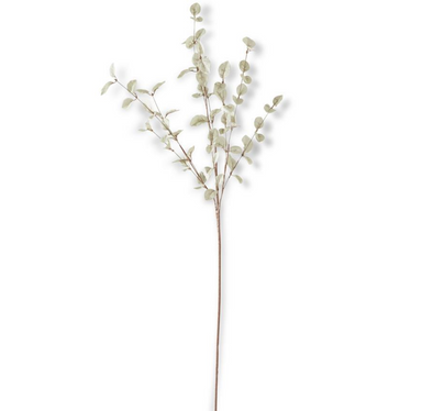 34 Inch Light Green Eucalyptus Stem - Michigan Southern Charm