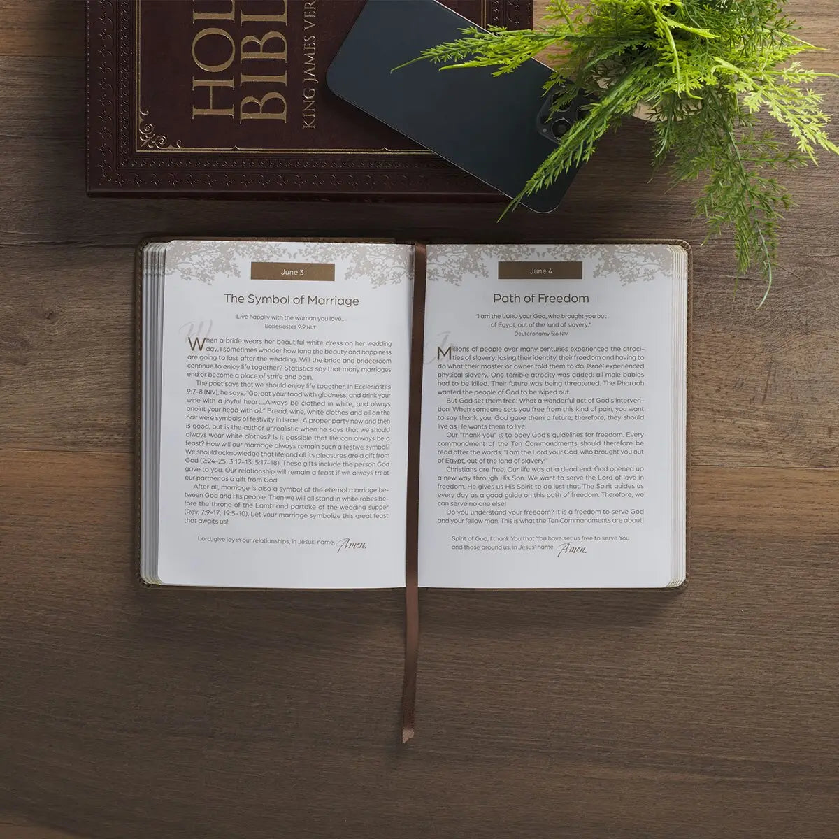 Rooted in Faith Brown Faux Leather Devotional