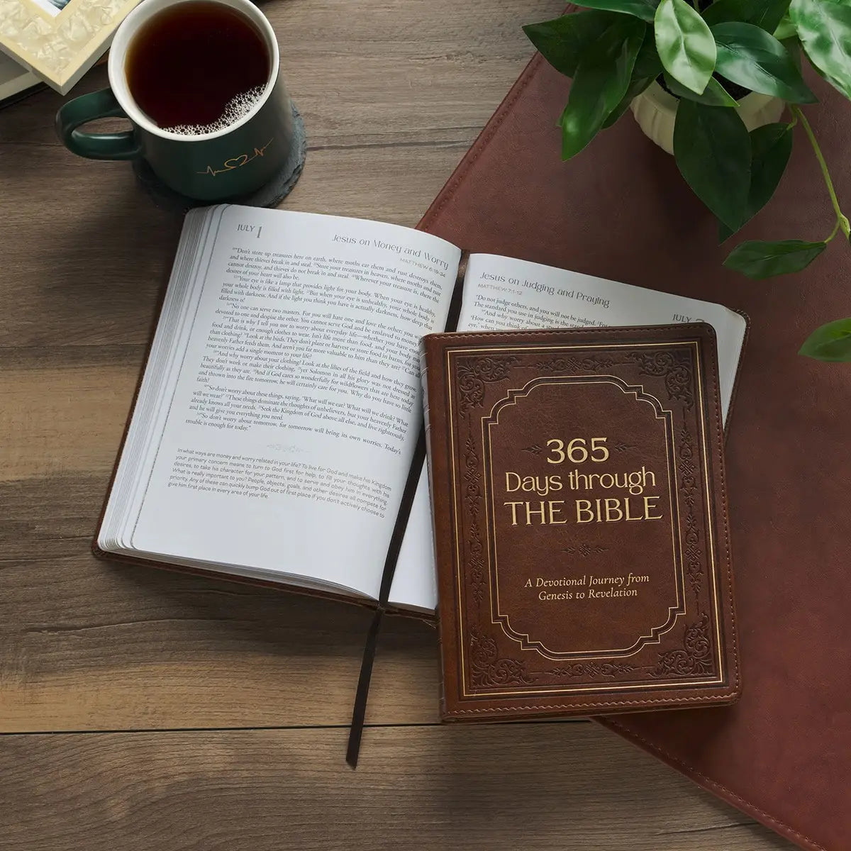 365 Days Through the Bible, Devotional Journey