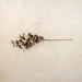 Brown Eucalyptus Leaf Spray, 34.5"