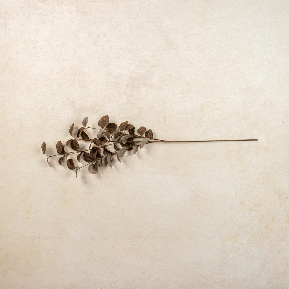 Brown Eucalyptus Leaf Spray, 34.5"